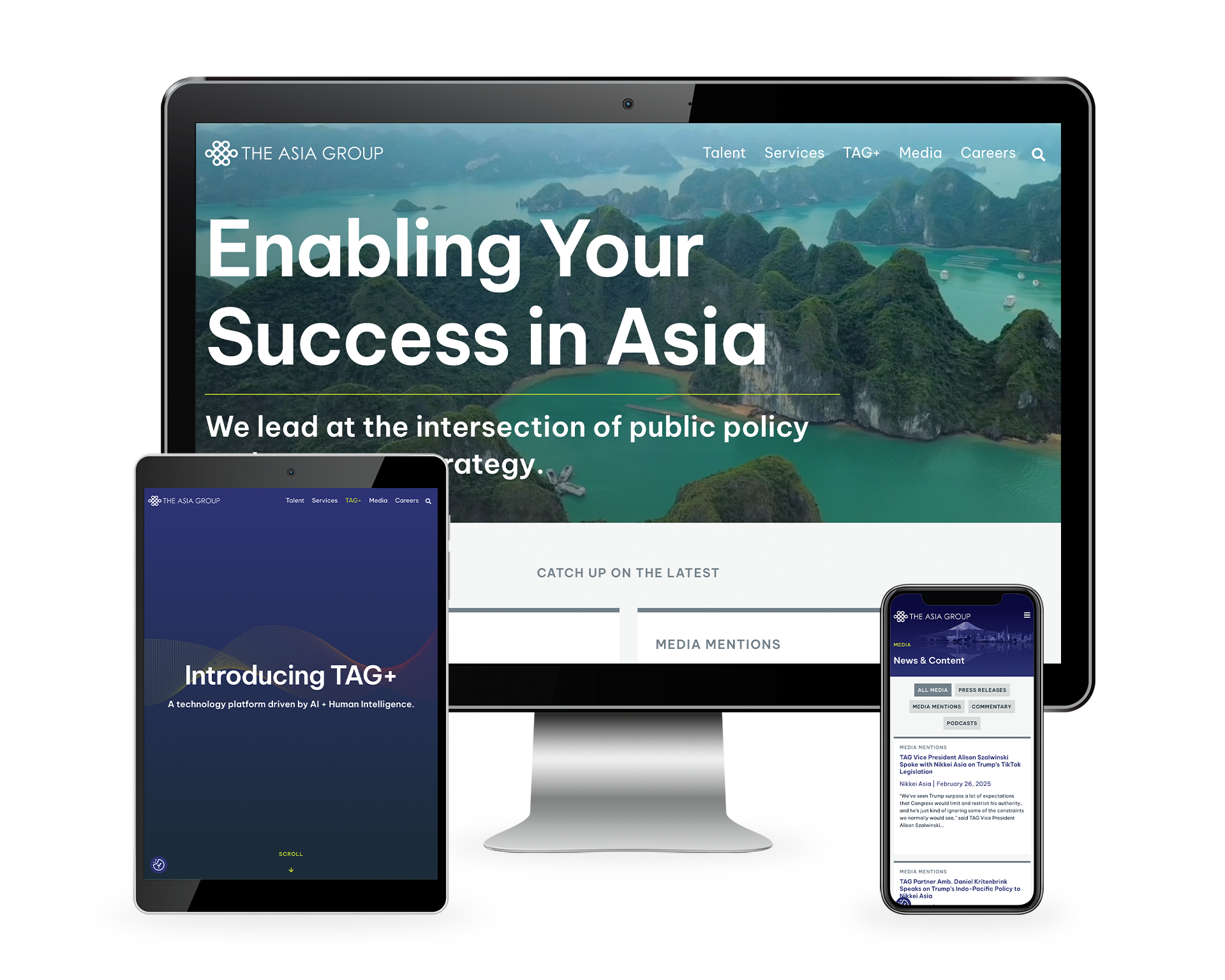 TheAsiaGroup mockup